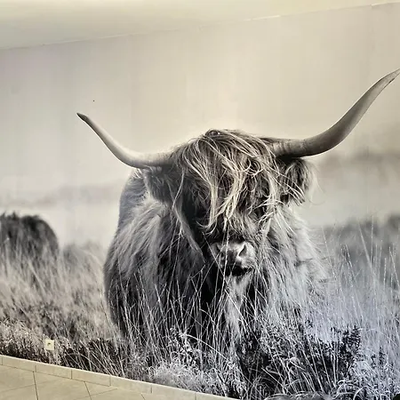 Du Trefoux Le Perche * Villaines-la-Gonais